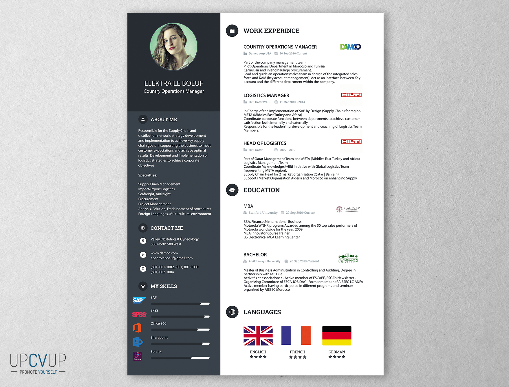 International marketing resume